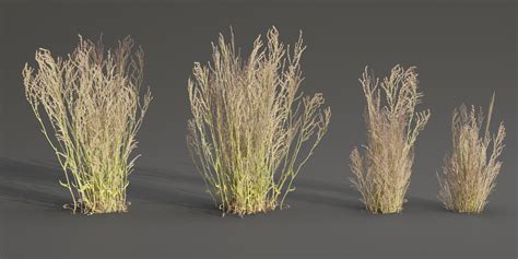 Low poly wild grass collection vol 201-Blender-3dmodel - Blender Market