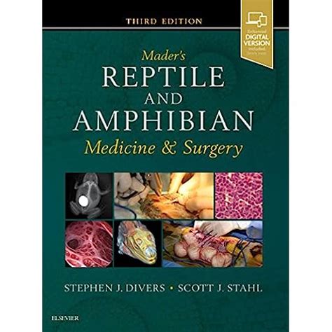 The 10 Best Veterinary Surgery Books of 2024 (Reviews) - FindThisBest