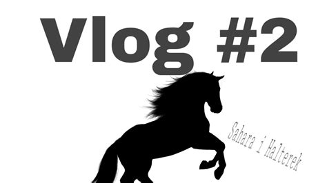 Vlog Ze Stajni Pony Team Haltereksahara Youtube