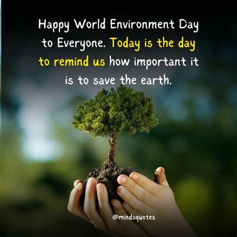 35 Happy World Environment Day Wishes Messages Quotes