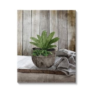 Stupell Cozy Rustic Potted Plant Canvas Wall Art Design By Kim Allen