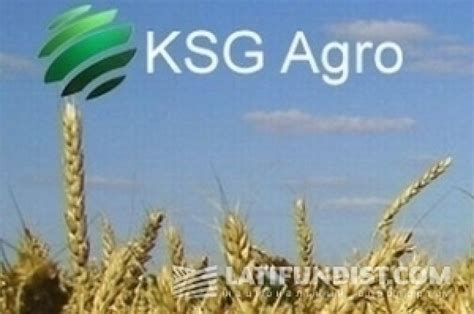 Рапс стал одной из самых рентабельных культур KSG Agro Latifundist