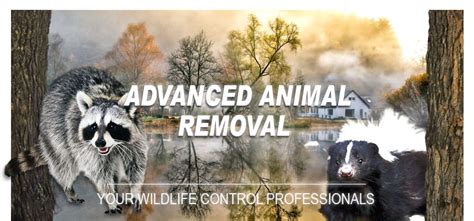 Advanced Animal Removal And Wildlife Control Services