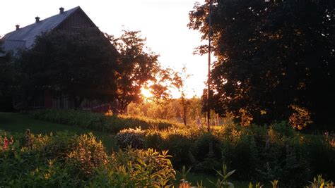 De poésie et de pauses Les Jardins d Arlington