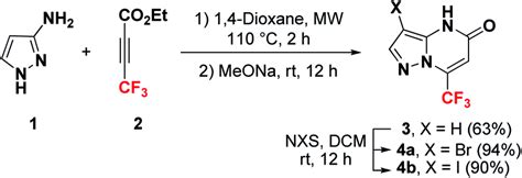 Synthesis Of Halo Pyrazolo A Pyrimidin Ones A And B