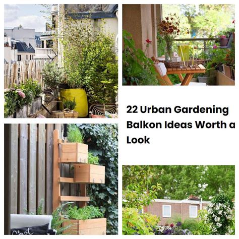 22 Urban Gardening Balkon Ideas Worth A Look Sharonsable