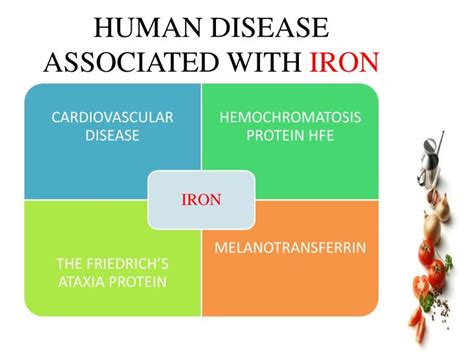 Ppt Role Of Iron In Human Health Powerpoint Presentation Id 6520927