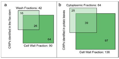 Proteomes Free Full Text Plant Cell Wall Proteins A Large Body Of