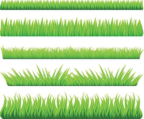 Grass Texture Clip Art Illustrations, Royalty-Free Vector Graphics ...