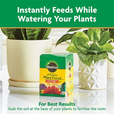 Miracle Gro Water Soluble All Purpose Plant Food Miracle Gro