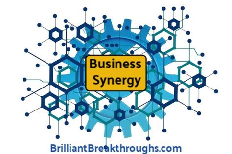 What S Business Synergy Brilliant Breakthroughs Inc