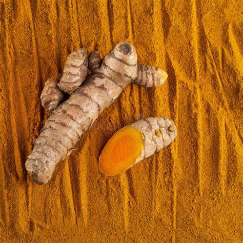 Curcuma Longa Turmeric Powder Fresh Root Stock Image Image Of