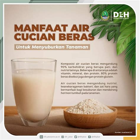 Manfaat Air Cucian Beras Untuk Menyuburkan Tanaman AtmaGo