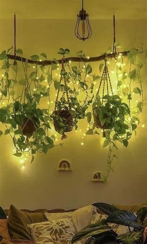 Hanging Plants Indoor Hanging Plants Indoor Bedroom Hanging Plants Indoor Bedroom Hanging