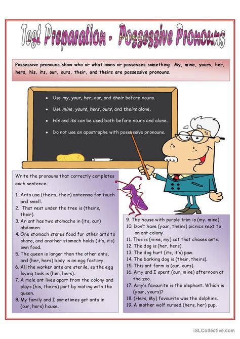 Possessive Pronouns General Grammar English Esl Worksheets Pdf Doc