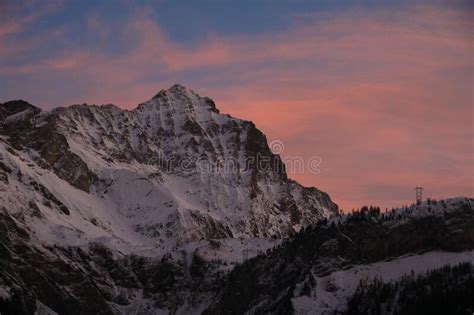 Pink Sky Over Eiger Monch And Jungfrau Stock Photo Image Of