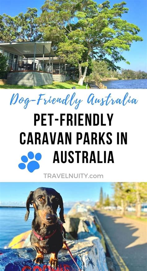 Staying at pet friendly caravan parks in australia – Artofit