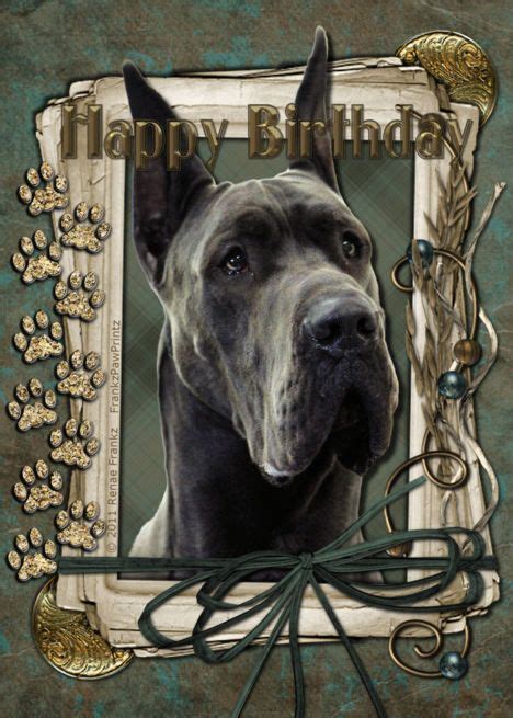 Happy Birthday Great Dane Grey Stone Paws Card Ad Affiliate