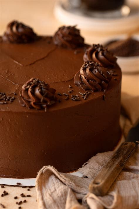 The BEST Chocolate Fudge Cake Rich And Moist Bright Eyed Baker