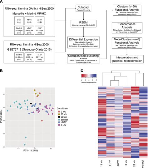 Identification Of A Peripheral Blood Gene Signature Predicting Aortic