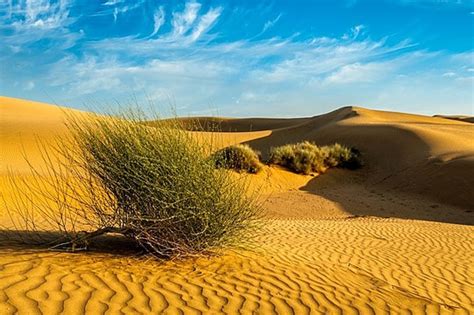 Sam Sand Dunes Of Thar Desert Under Beautiful Sky Rajasthan Photo