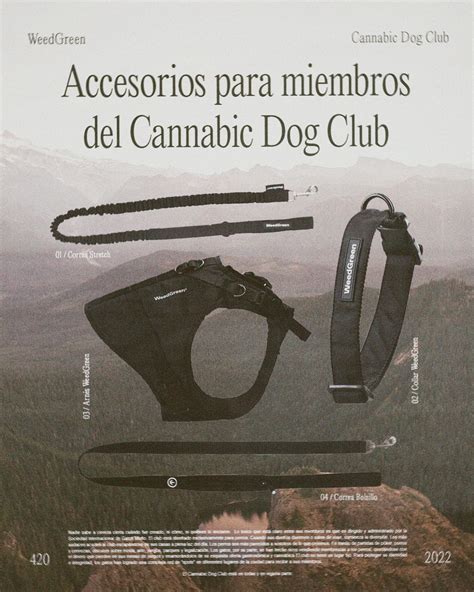 Weed green - Les presentamos nuestra nueva línea de...