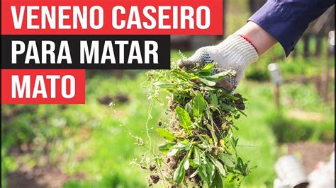 Como Fazer Veneno Caseiro Para Matar Mato Youtube