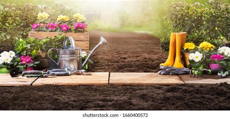 209050 Gardening Banner Stock Photos Images And Photography Shutterstock