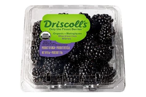 Buy Driscolls Blackberries Ounces Online Mercato