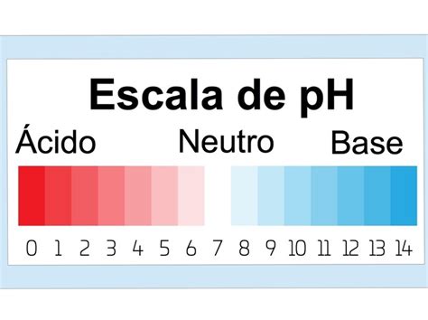 Caracter Sticas De Los Cidos Y Las Bases Principales Diferencias