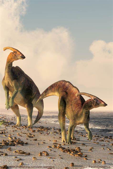 Dinosaurs | Prehistoric animals, Paleo art, Dinosaur fossils