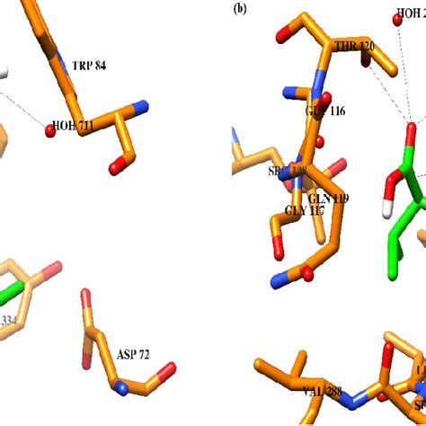 The Binding Mode Of The Most Active Compound XII Green Is Shown In