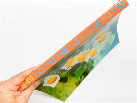 Who The Fuck Is Henry Gorse Softcover