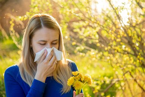 Wege Allergien Zu Behandeln Finden Sie Ihre Optimale L Sung