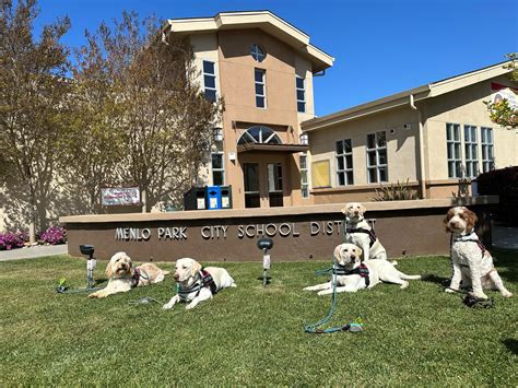PAWZitivity dogs make their way onto Menlo Park school campuses - InMenlo