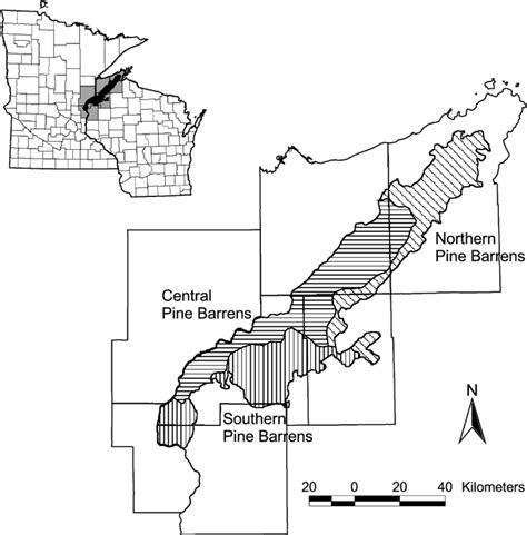 The Pine Barrens Region In Northwestern Wisconsin And The Surrounding