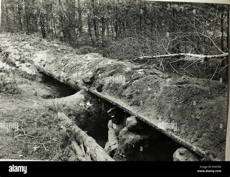 Deutscher Sch Tzengraben Im Wald S Dlich Rajbrot Bildid