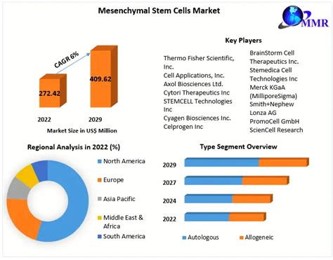 Mesenchymal Stem Cells Market Analysis Forecast 2023 2029