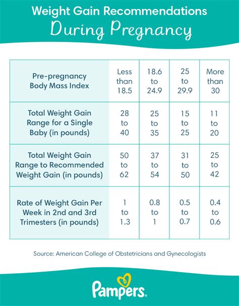 Pregnancy Trimesters Chart