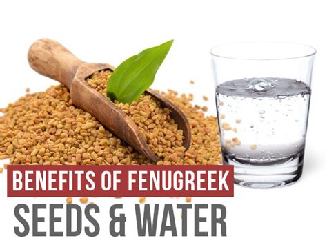 Health Benefits Of Fenugreek Seeds And Fenugreek Water Boldsky