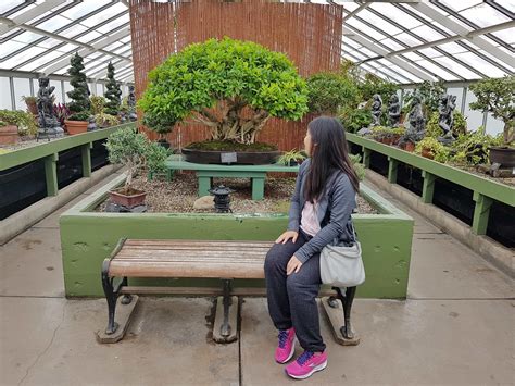 7 Hours in Buffalo, NY - Carmy - Easy Healthy-ish Recipes