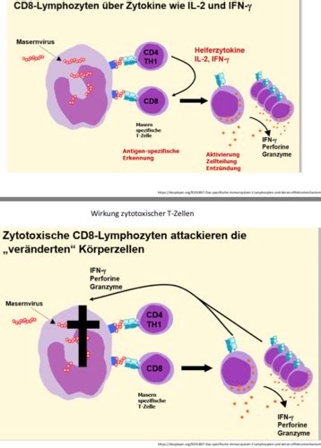 Immunologie Teil 3 Karteikarten Quizlet