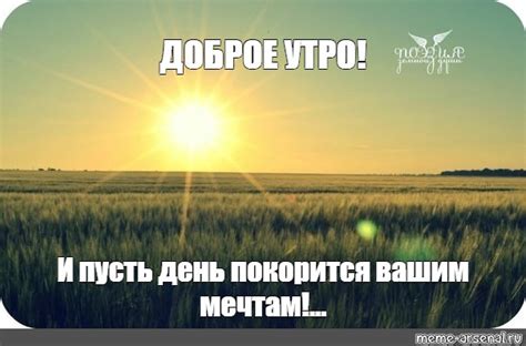 Создать мем "восход солнца, полуденное солнце, природа солнце ...