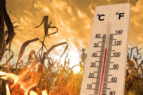 extreme heat puts childrens health  risk urging action
