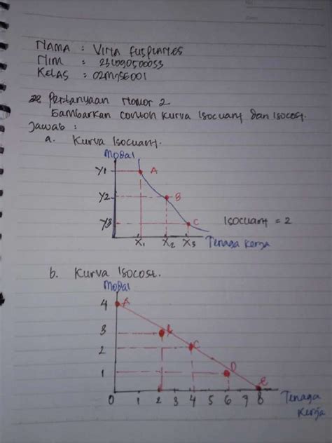 kurva isoquant  isocost vina fuspianes