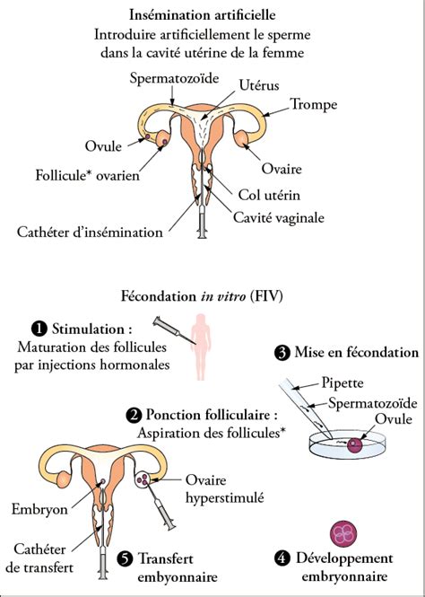 Stérilité et PMA Sciences et technologie Troisième Annale