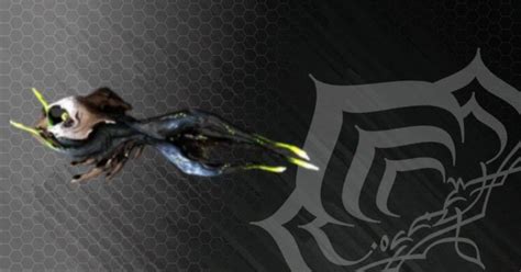 Bubonico Guide And Best Builds 2025 Warframe School