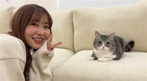 指原莉乃がyoutubeで最も視聴された猫・もちまるとコラボ 高まるペットチャンネル需要｜real Sound｜リアルサウンド テック