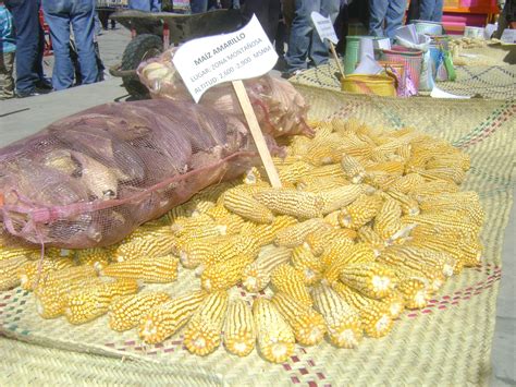 Pueblos originarios celebran Día Nacional del Maíz en Tlaxiaco Oaxaca