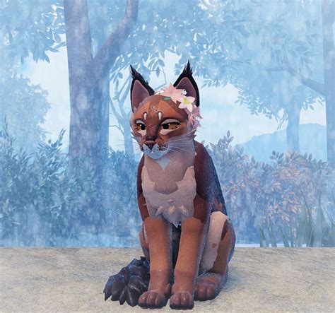 Red Abyssinian Wcue Morph In 2023 Warrior Cats Fan Art Warrior Cats Art Warrior Cat